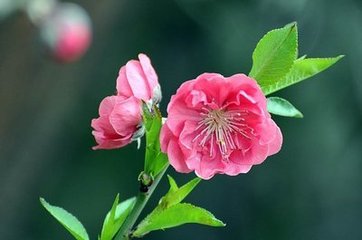 西安交通大學(xué)威海校友會(huì)到訪中都，參觀交流